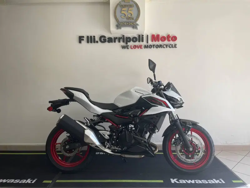 Kawasaki Z 500 SE (2024 - 26) (2)
