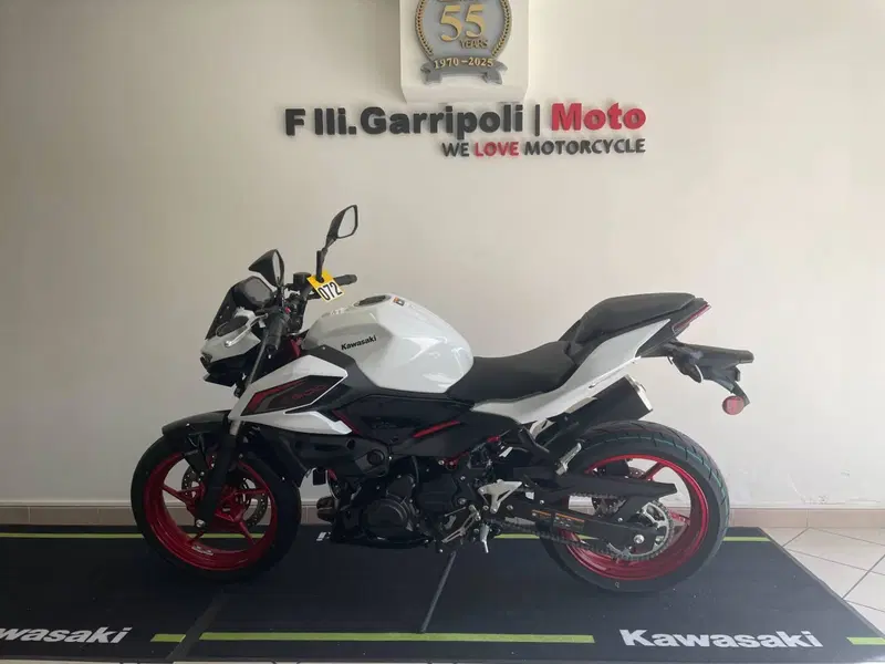 Kawasaki Z 500 SE (2024 - 26)