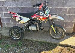  Altre moto o tipologie Pitbike usata