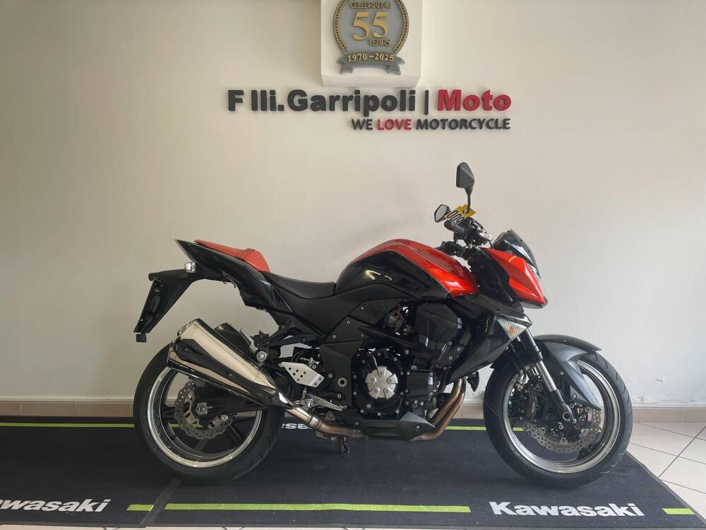 Kawasaki Z 1000 (2007 - 09) (2)