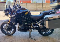 Triumph Tiger 1200 Alpine Edition (2020) usata