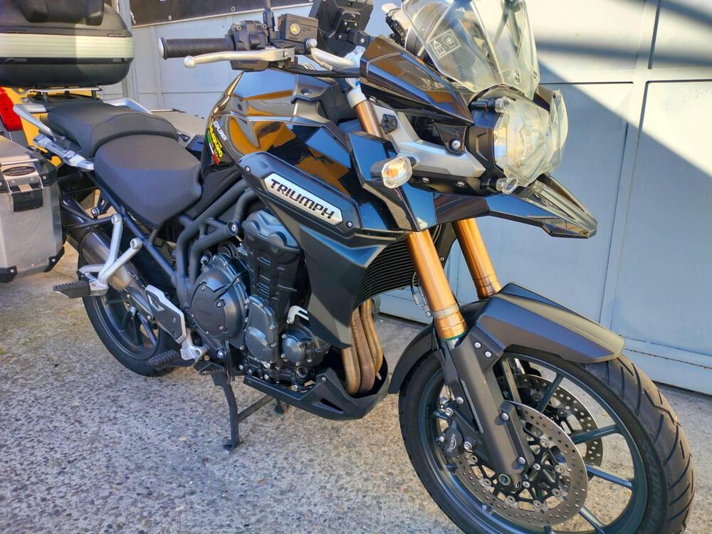 Triumph Tiger 1200 Alpine Edition (2020) (3)