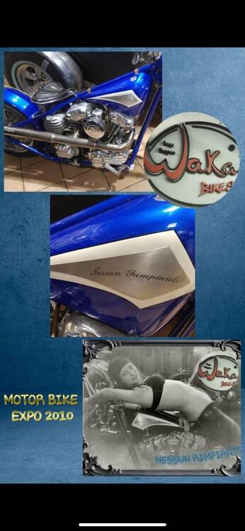 Harley-Davidson  WAKA BIKE CHOPPER SPECIAL (5)