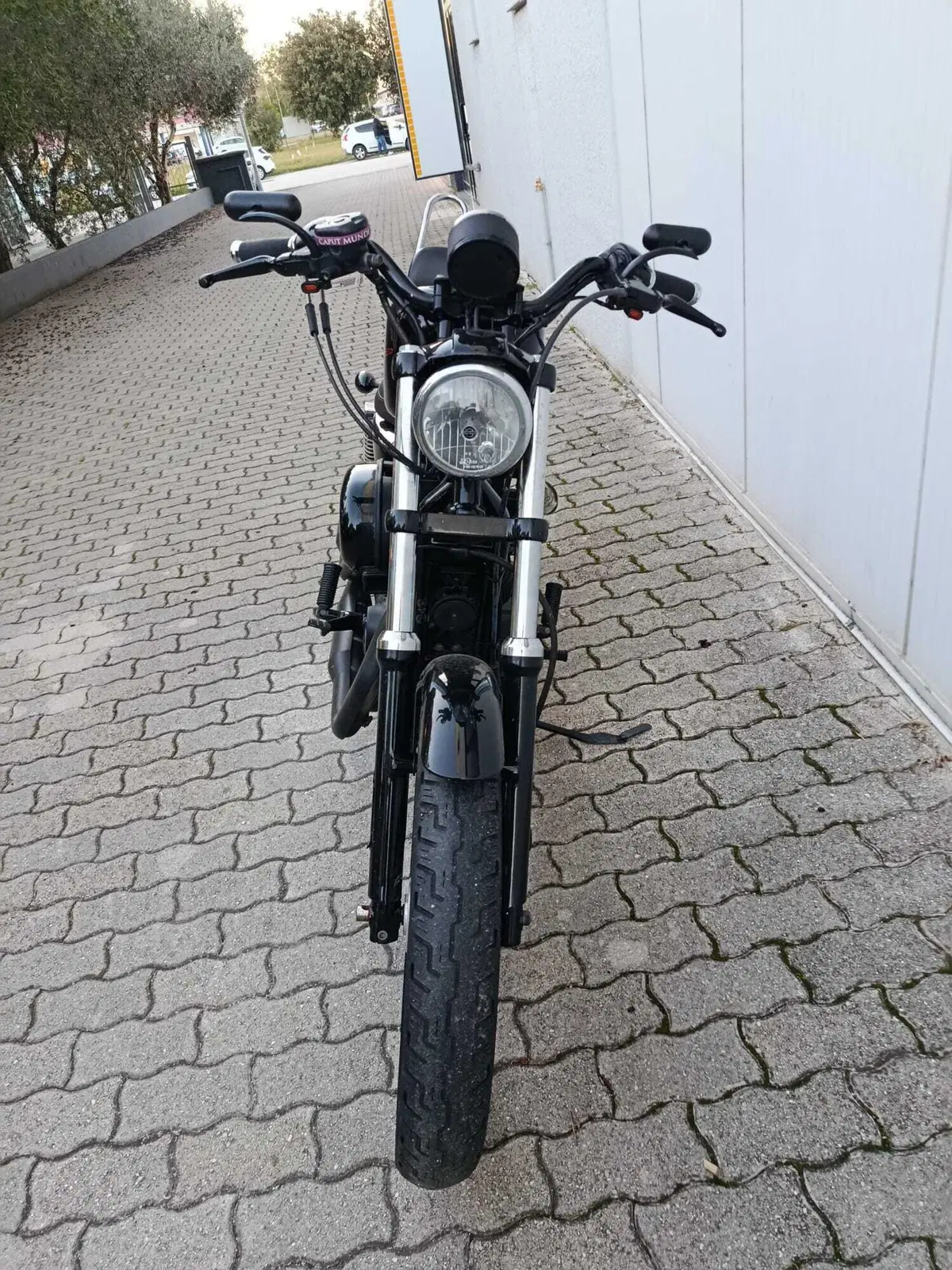 Harley-Davidson 883 (2006 - 07) - XL (6)
