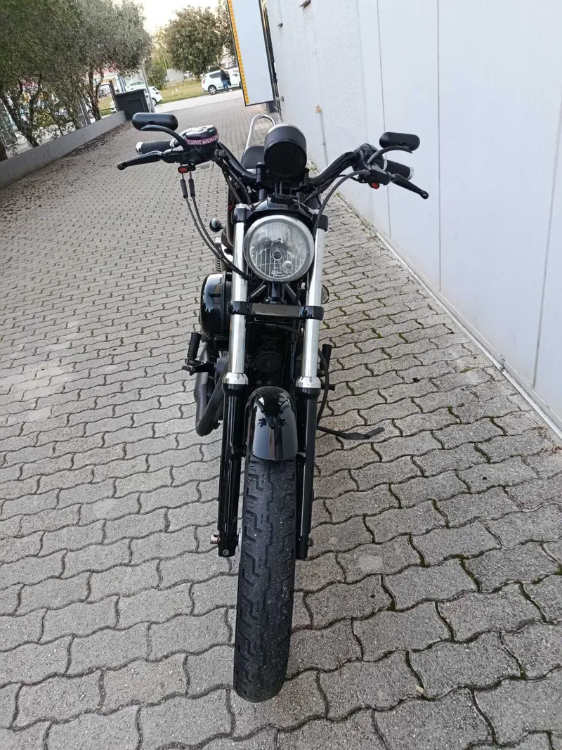 Harley-Davidson 883 (2006 - 07) - XL (6)