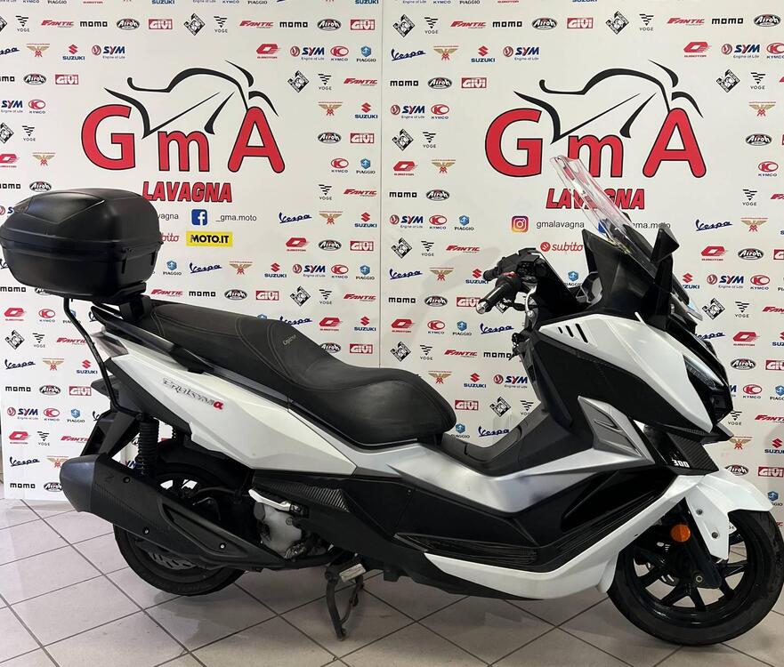 Sym Cruisym 300 (2021 - 24) (3)