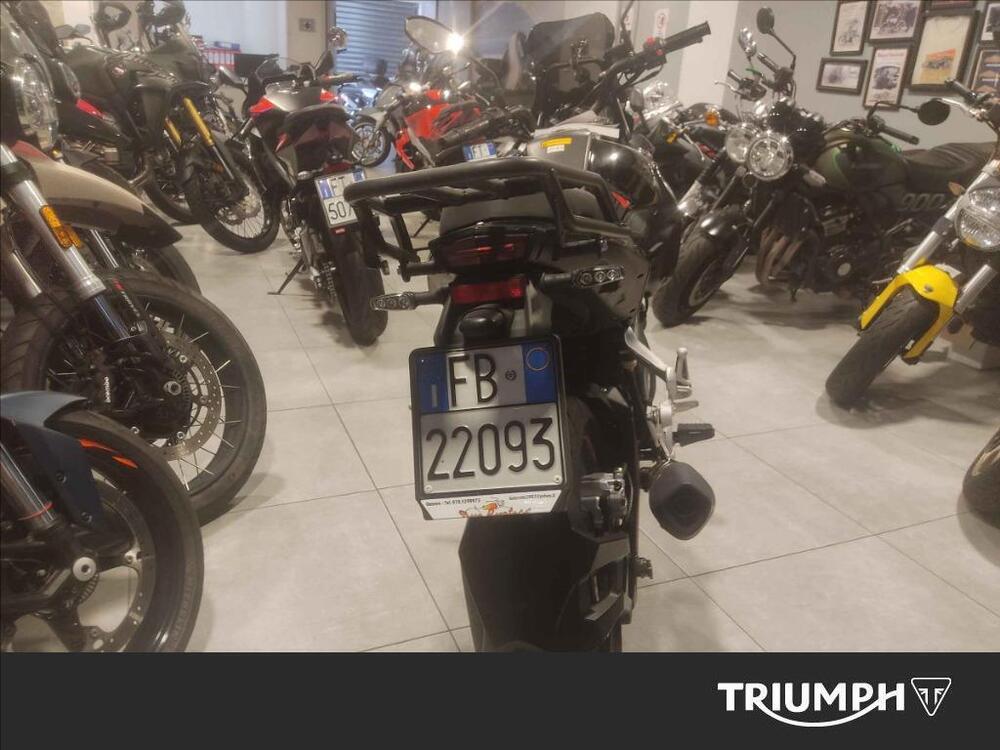 Benelli TRK 251 (2022 - 25) (4)