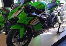 Kawasaki Ninja 636 ZX-6R (2024 - 26) nuova