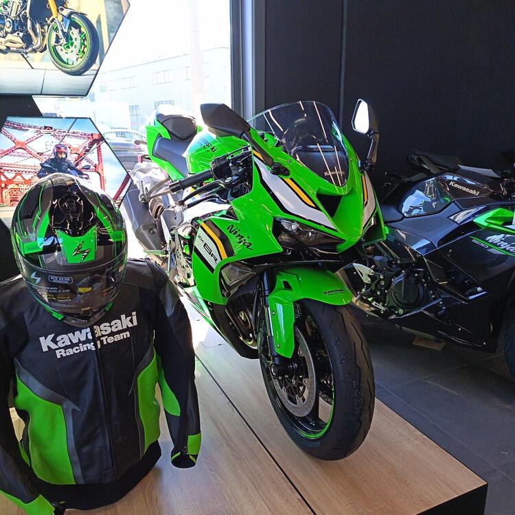 Kawasaki Ninja 636 ZX-6R (2024 - 26) (4)