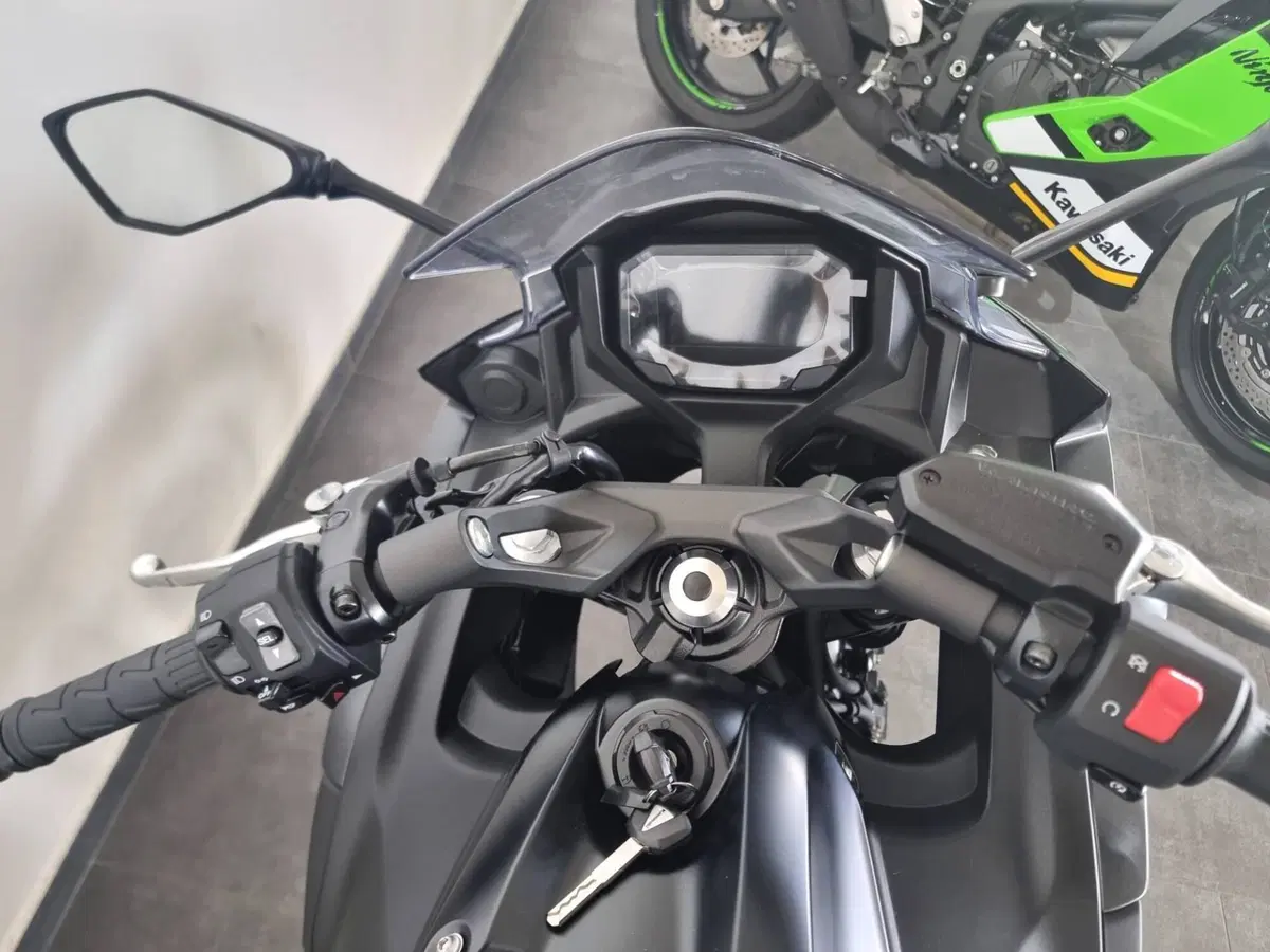 Kawasaki Ninja 650 (2025 - 26) (7)