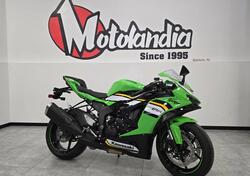 Kawasaki Ninja 636 ZX-6R (2024 - 26) usata