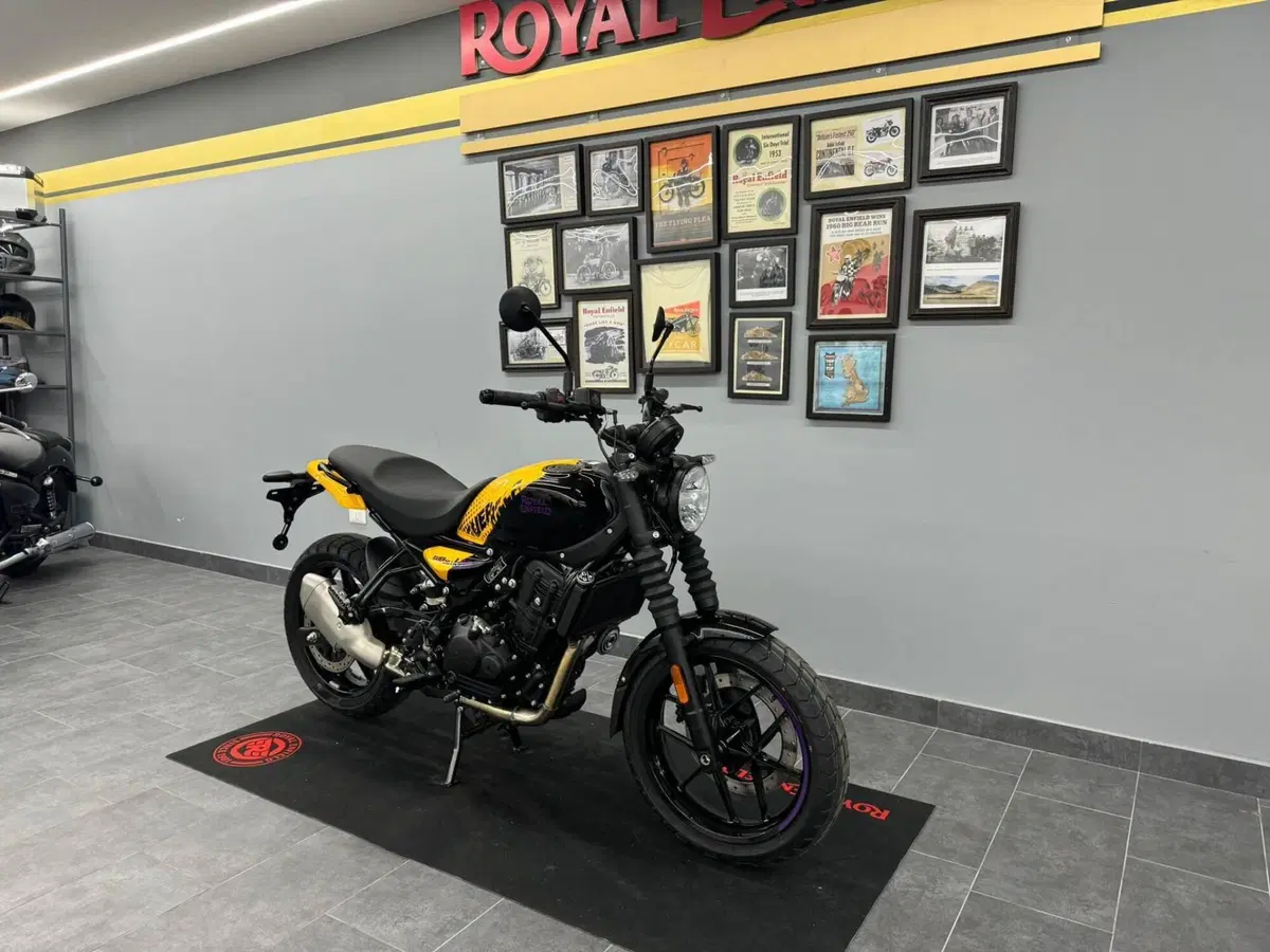 Royal Enfield Guerrilla 450 (2024 - 26) (5)