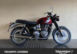 Triumph Bonneville T120 Elvis (2024 - 25) nuova