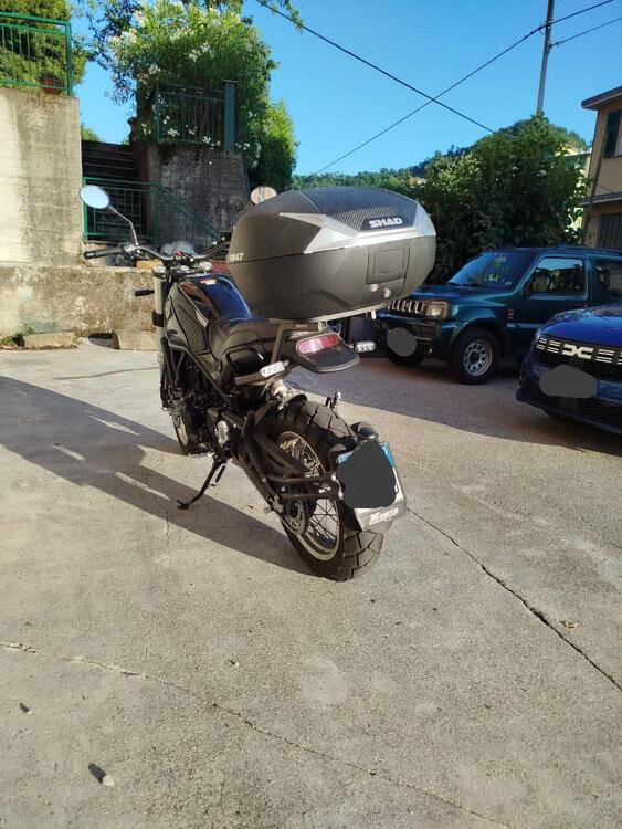 Benelli Leoncino 500 Trail (2021 - 25) (2)