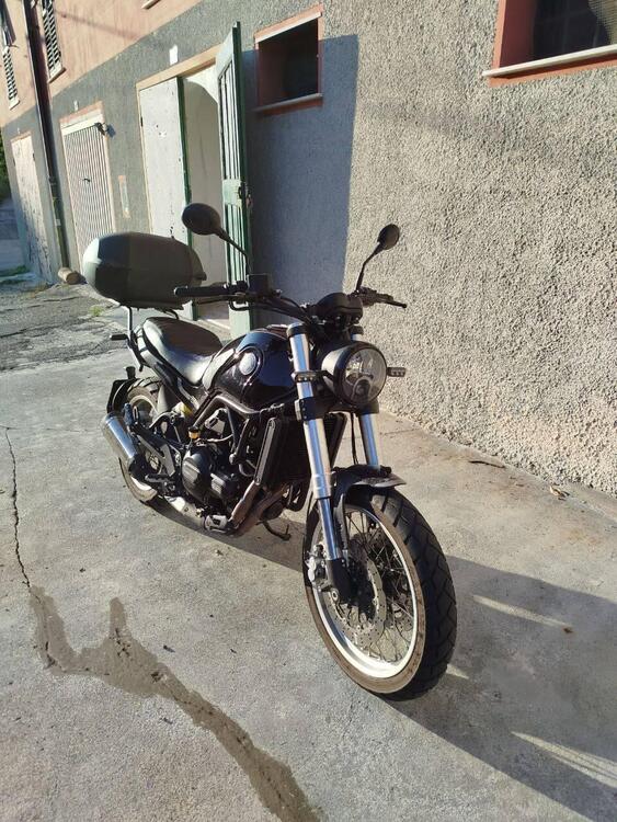 Benelli Leoncino 500 Trail (2021 - 25) (3)