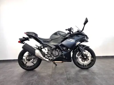 Kawasaki Ninja 500 (2024 - 26) nuova