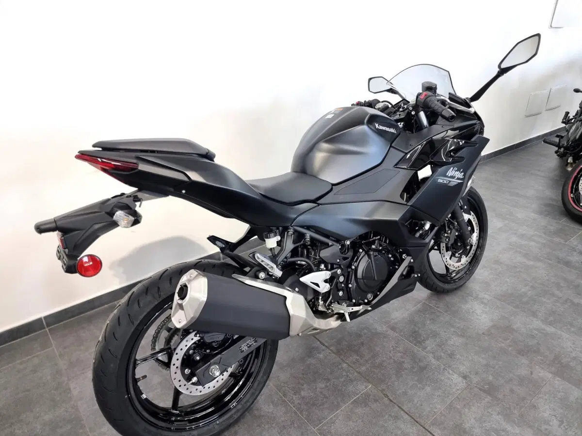 Kawasaki Ninja 500 (2024 - 26) (3)