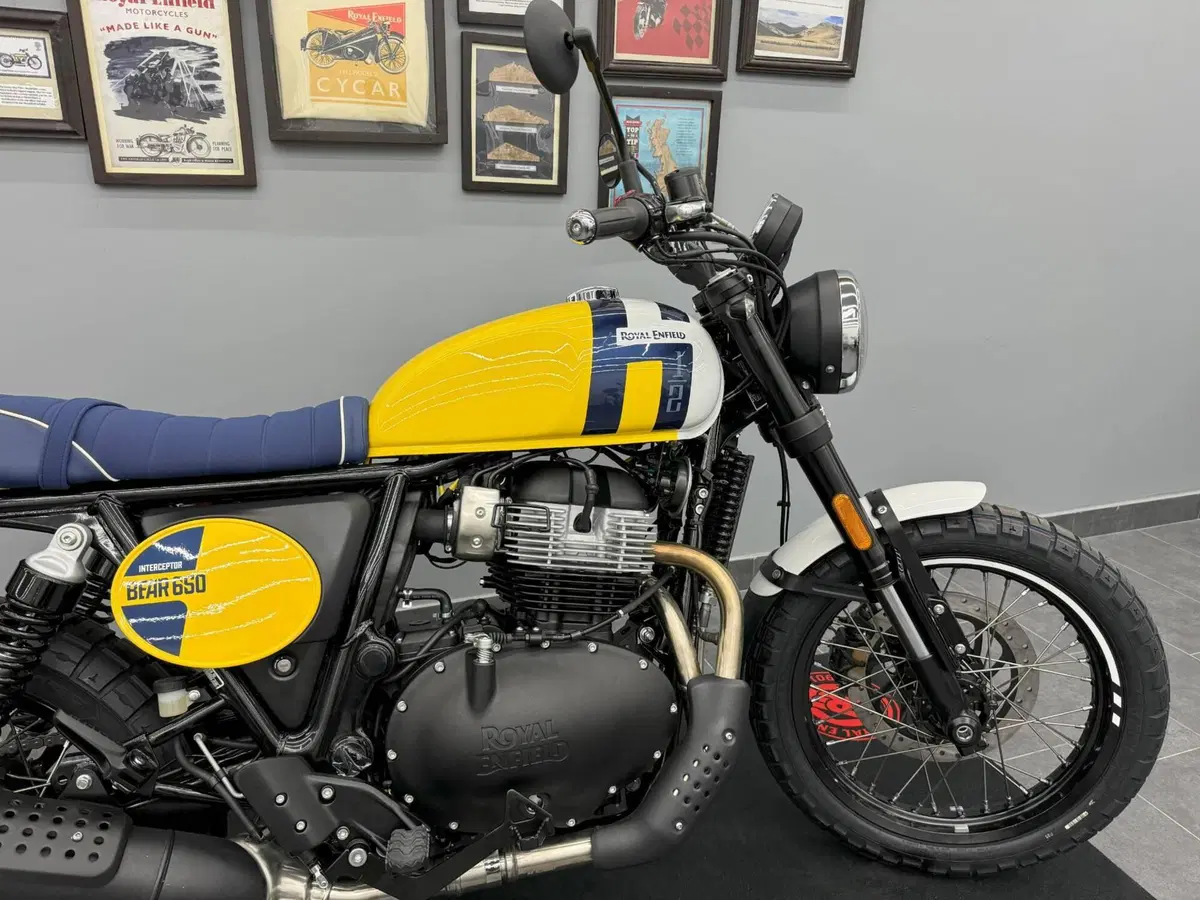 Royal Enfield Bear 650 (2025 - 26) (2)