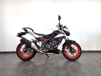 Kawasaki Z 500 SE (2024 - 26) nuova