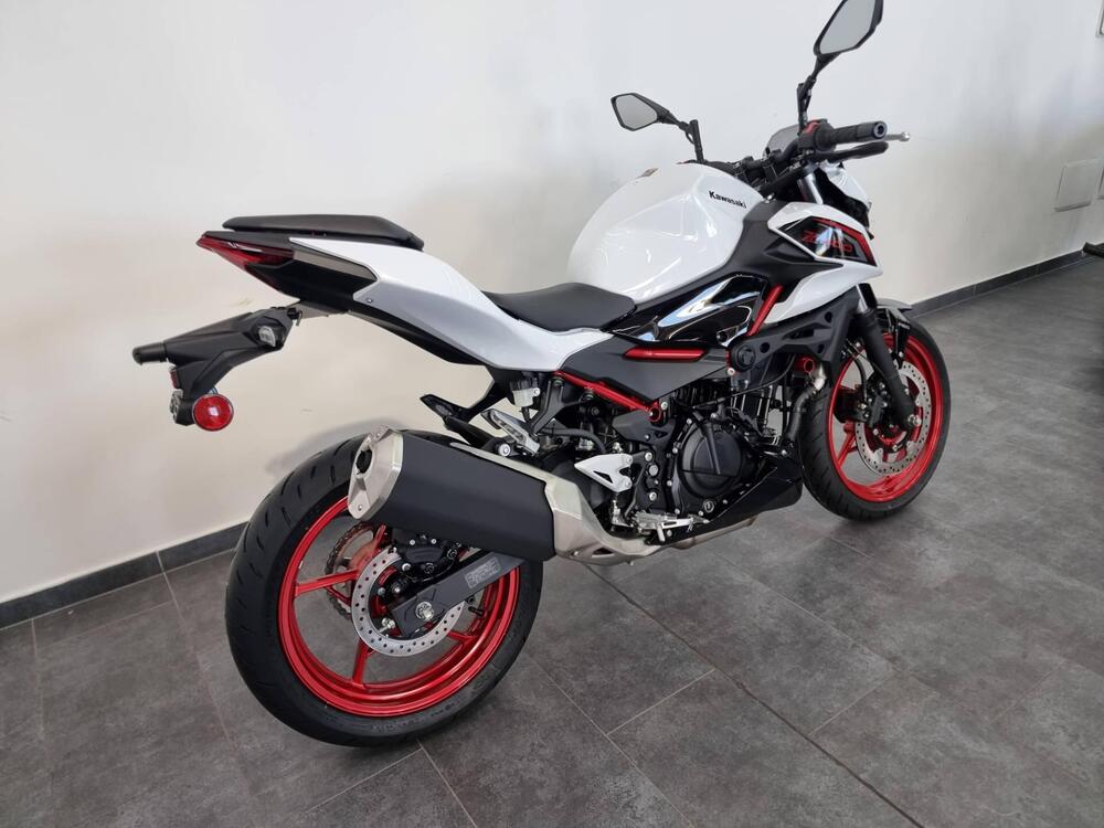 Kawasaki Z 500 SE (2024 - 26) (3)