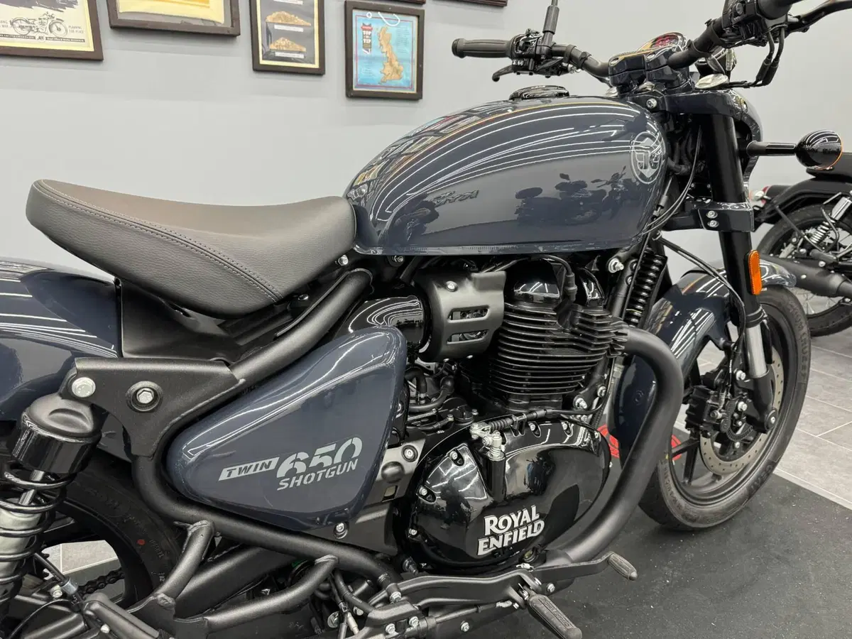 Royal Enfield Shotgun 650 (2024 - 26) (3)