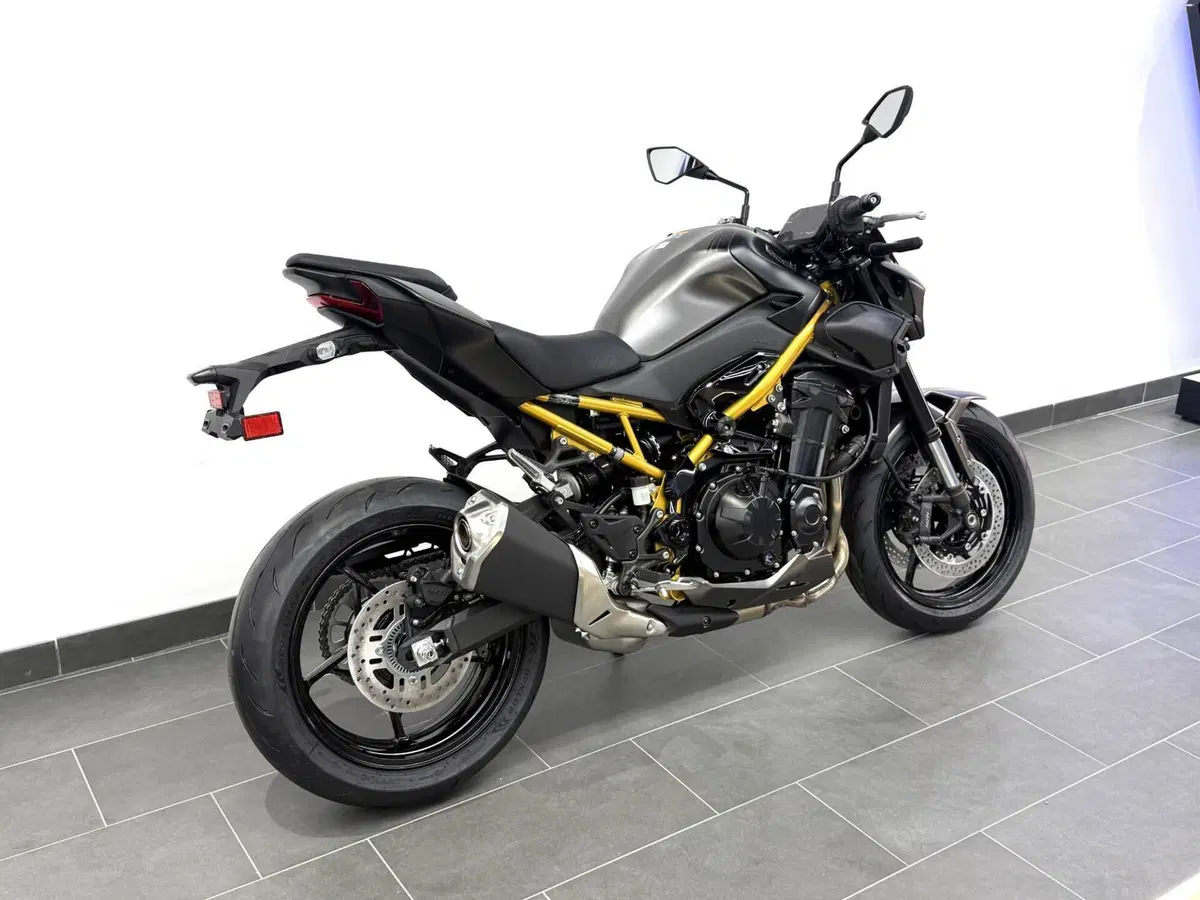 Kawasaki Z 900 (2025 - 26) (6)