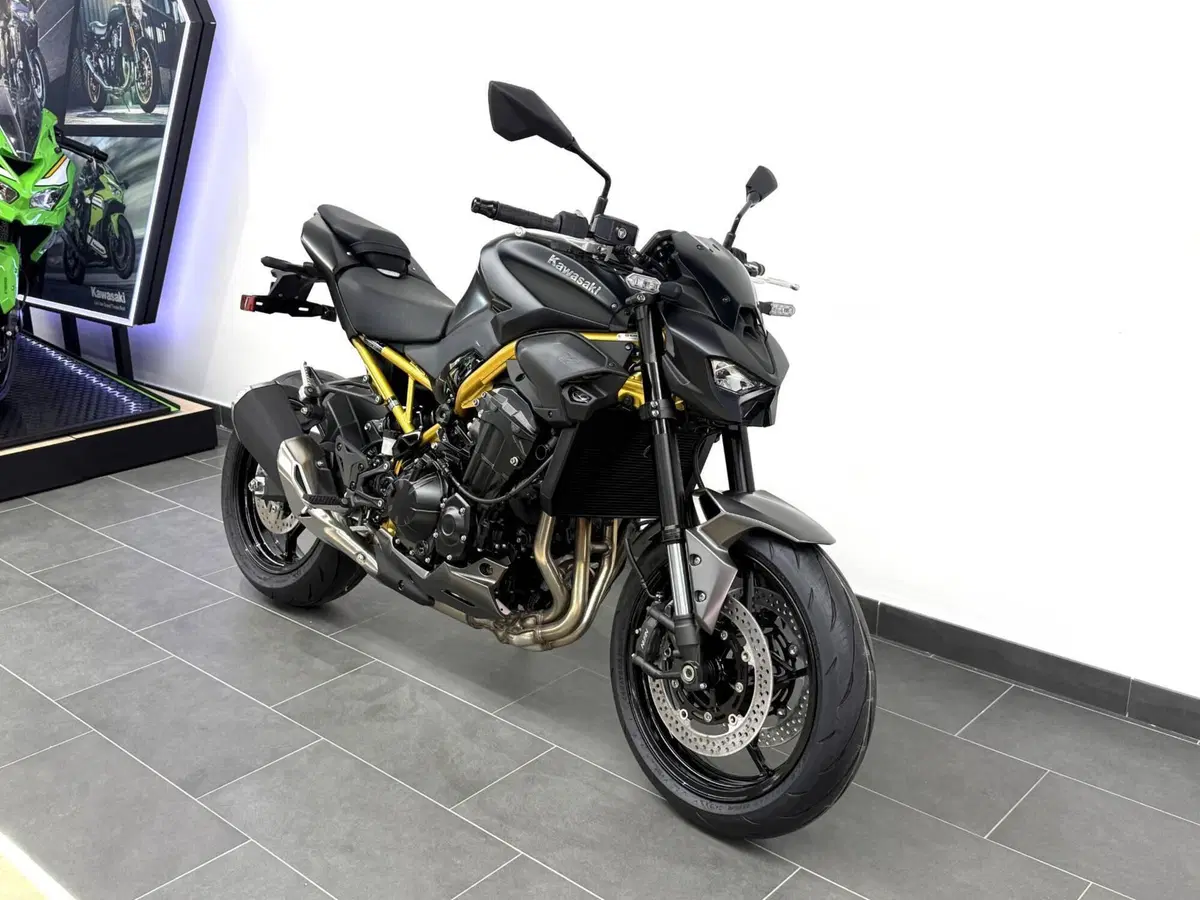 Kawasaki Z 900 (2025 - 26) (7)