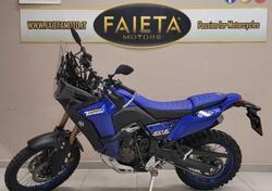 Yamaha Ténéré 700 World Raid (2022 - 25) usata