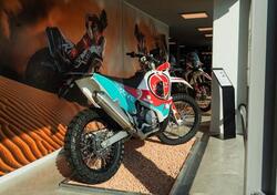 Kove 450 Rally Lucky Explorer Replica (2025) nuova