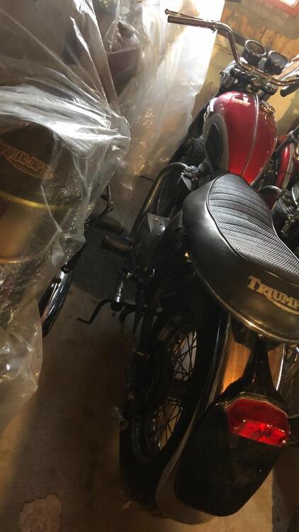 Triumph Bonneville T120  (5)