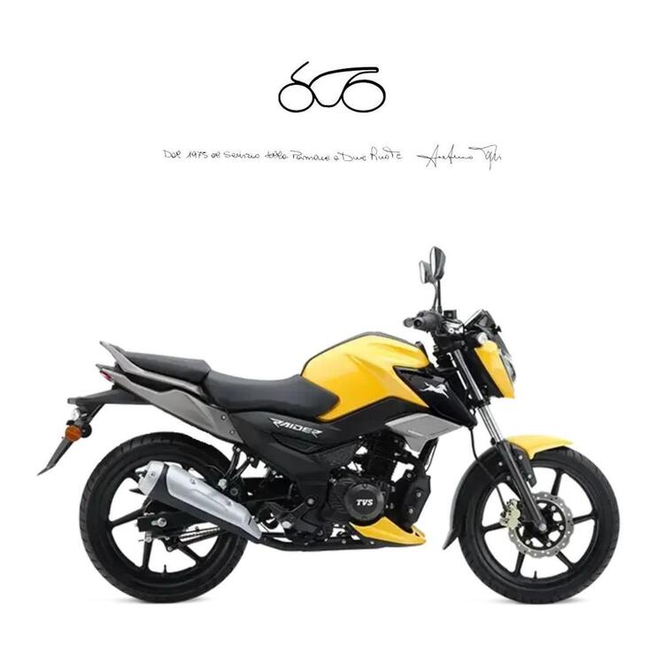 TVS Motor Raider 125 (2024 - 25)