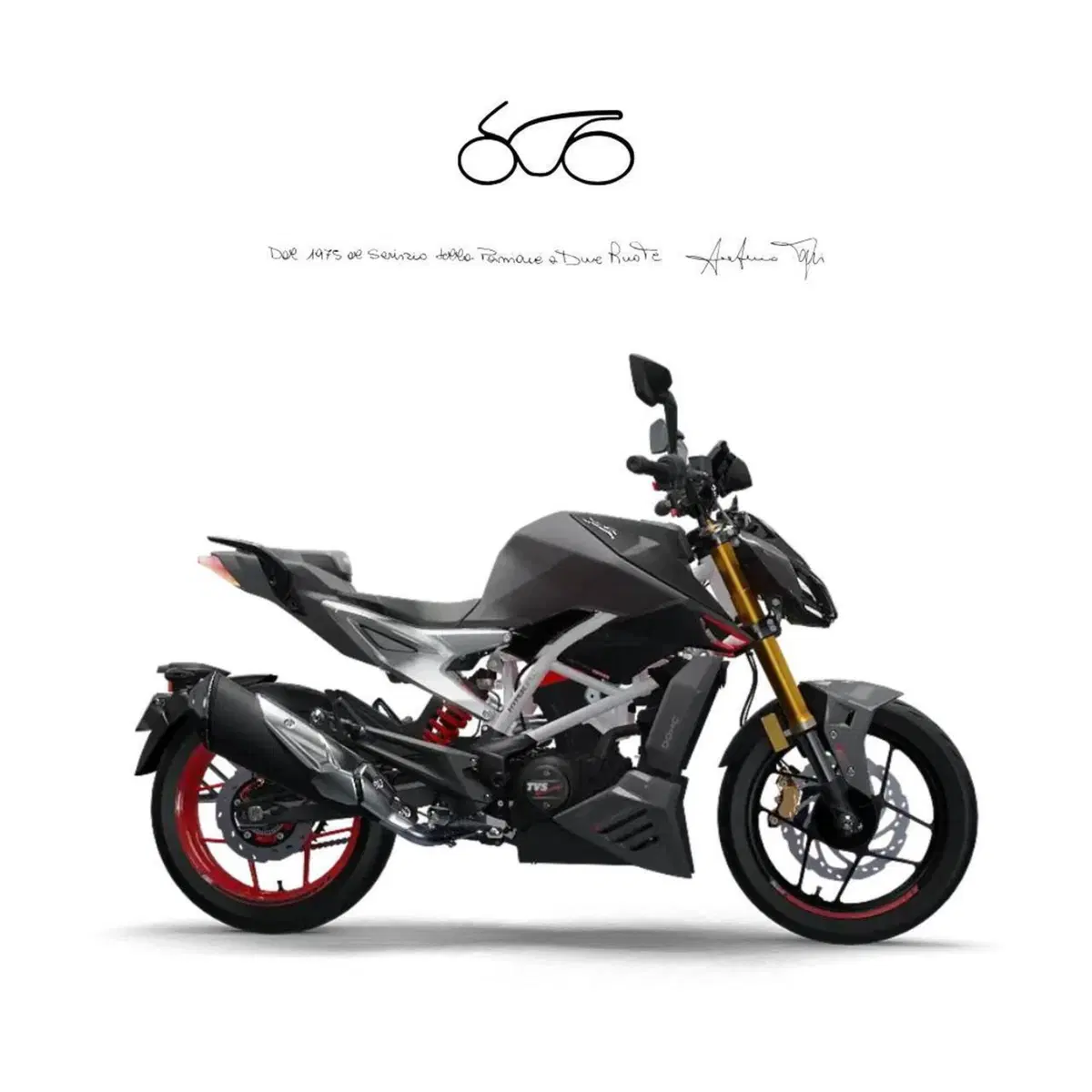 TVS Motor RTR 310 (2024 - 26)