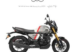 TVS Motor Ronin 250 (2024 - 25) nuova