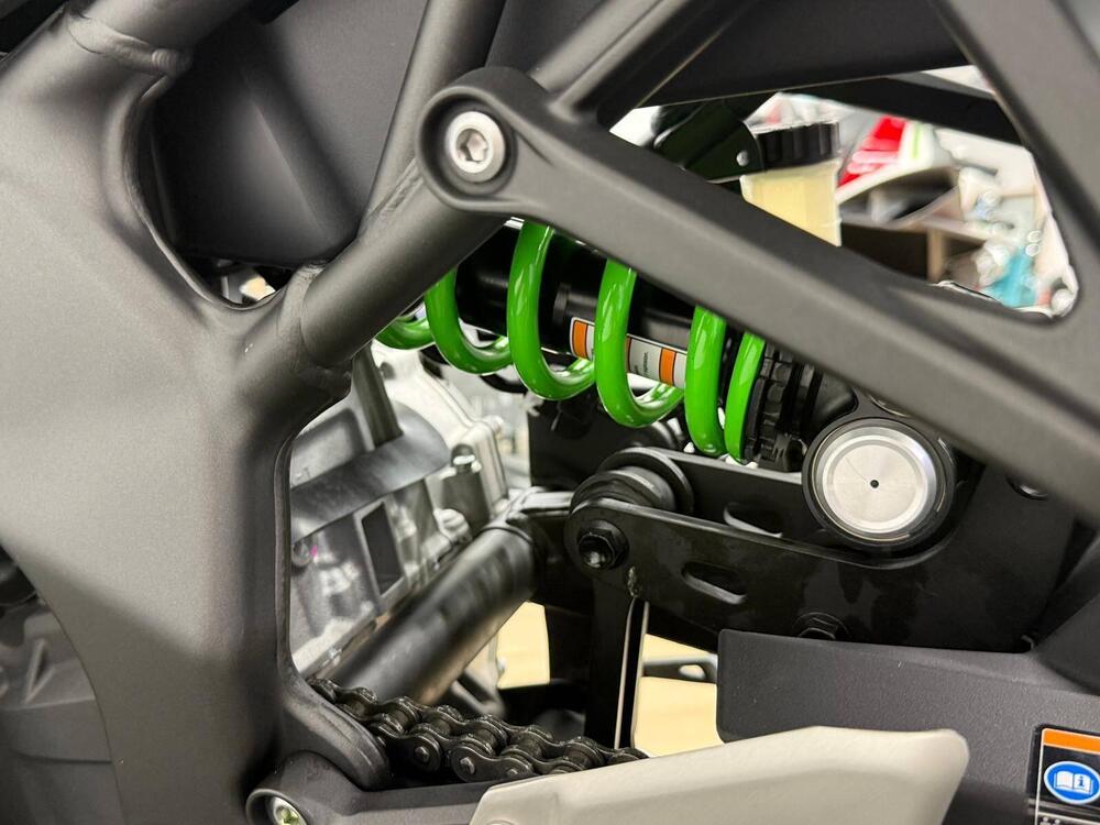Kawasaki Ninja ZX-4RR (2024 - 26) (5)