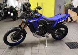 Yamaha Ténéré 700 World Raid (2022 - 25) usata