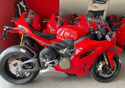 Ducati Panigale V4 (2025) nuova