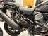 Harley-Davidson Pan America 1250 (2020 - 25) (15)