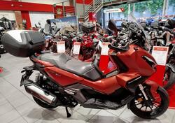Honda ADV 350 (2022 - 24) usata