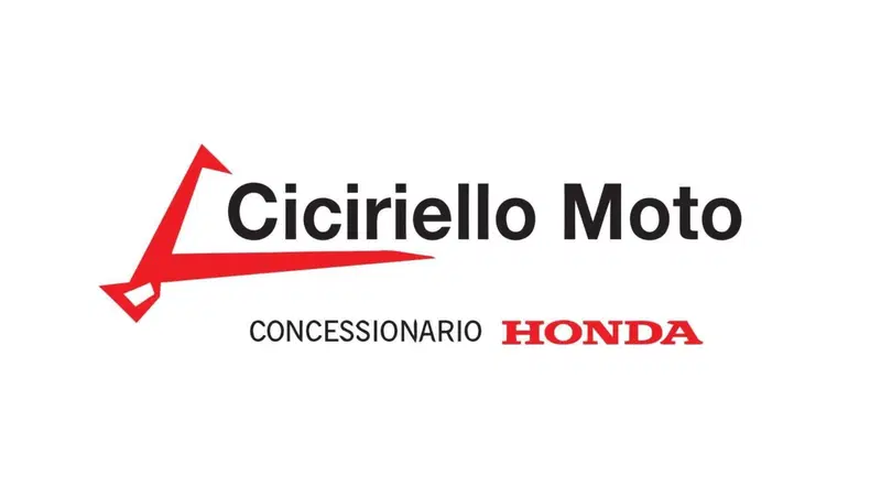 Voge Trofeo 300AC (2021 - 26) (10)