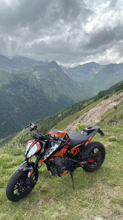 KTM 790 Duke L (2023 - 24)