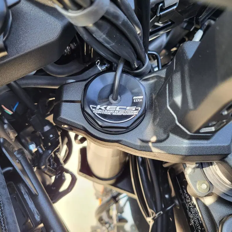 Kawasaki Versys 1100 SE (2025 - 26) (5)