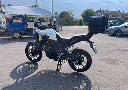 Honda NX500 (2024 - 25) usata