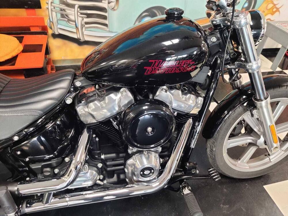 Harley-Davidson Softail Standard (2020) - FXST (5)