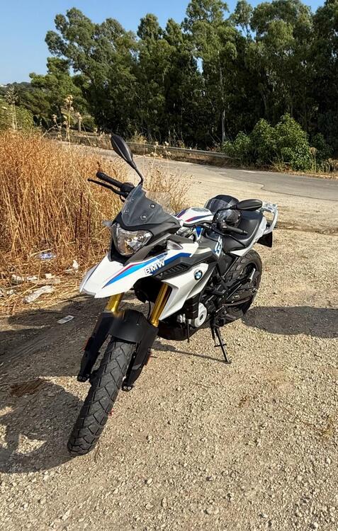 Bmw G 310 GS (2017 - 20) (2)