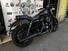 Harley-Davidson 883 Iron (2014 - 16) - XL 883N (13)