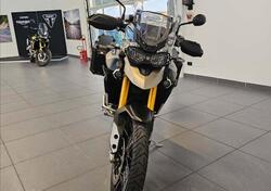 Triumph Tiger 900 Rally Pro (2020 - 23) usata