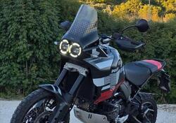 Ducati DesertX (2022 - 25) usata