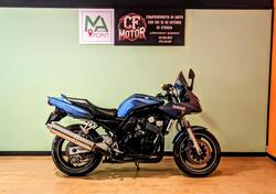 Yamaha FZ6 Fazer (2004 - 07) usata