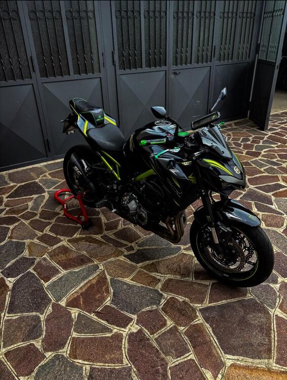 Kawasaki Z 900 Performance (2019) (3)
