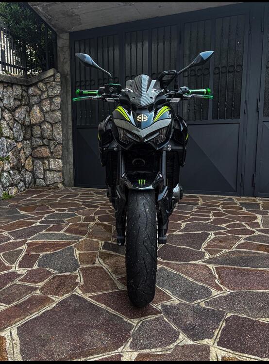 Kawasaki Z 900 Performance (2019) (2)